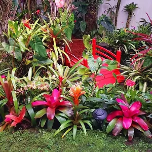 Paradise At Anthurium Hale , Hilo United States
